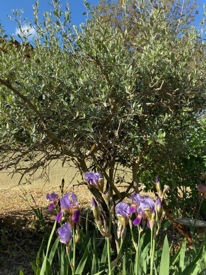 مبيت وإفطار Entrecasteaux L'Eveil En Provence المظهر الخارجي الصورة
